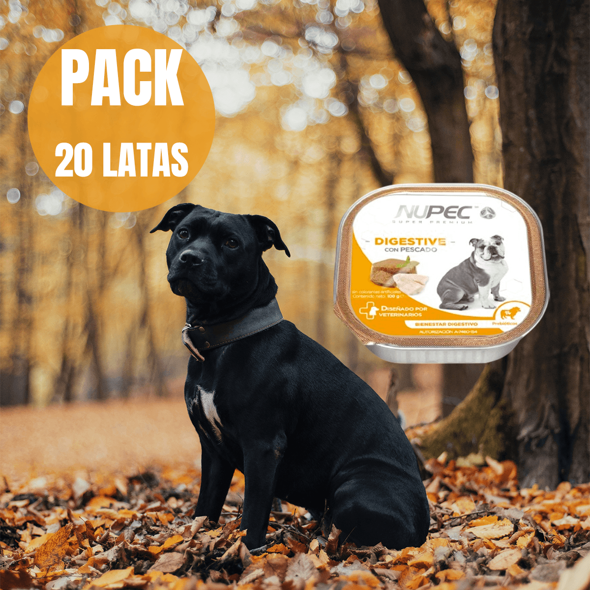Pack Nupec 20 latas Digestive alimento húmedo con Frida Wipes